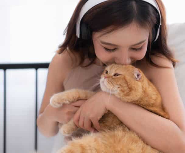 Découvrez l'intelligence émotionnelle et les multiples facettes de l'intelligence