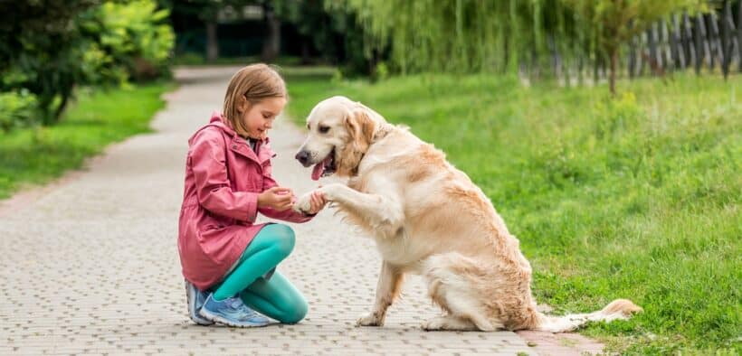 Comprendre sans projeter, le défi de l'empathie véritable. Découvrez comment y parvenir.